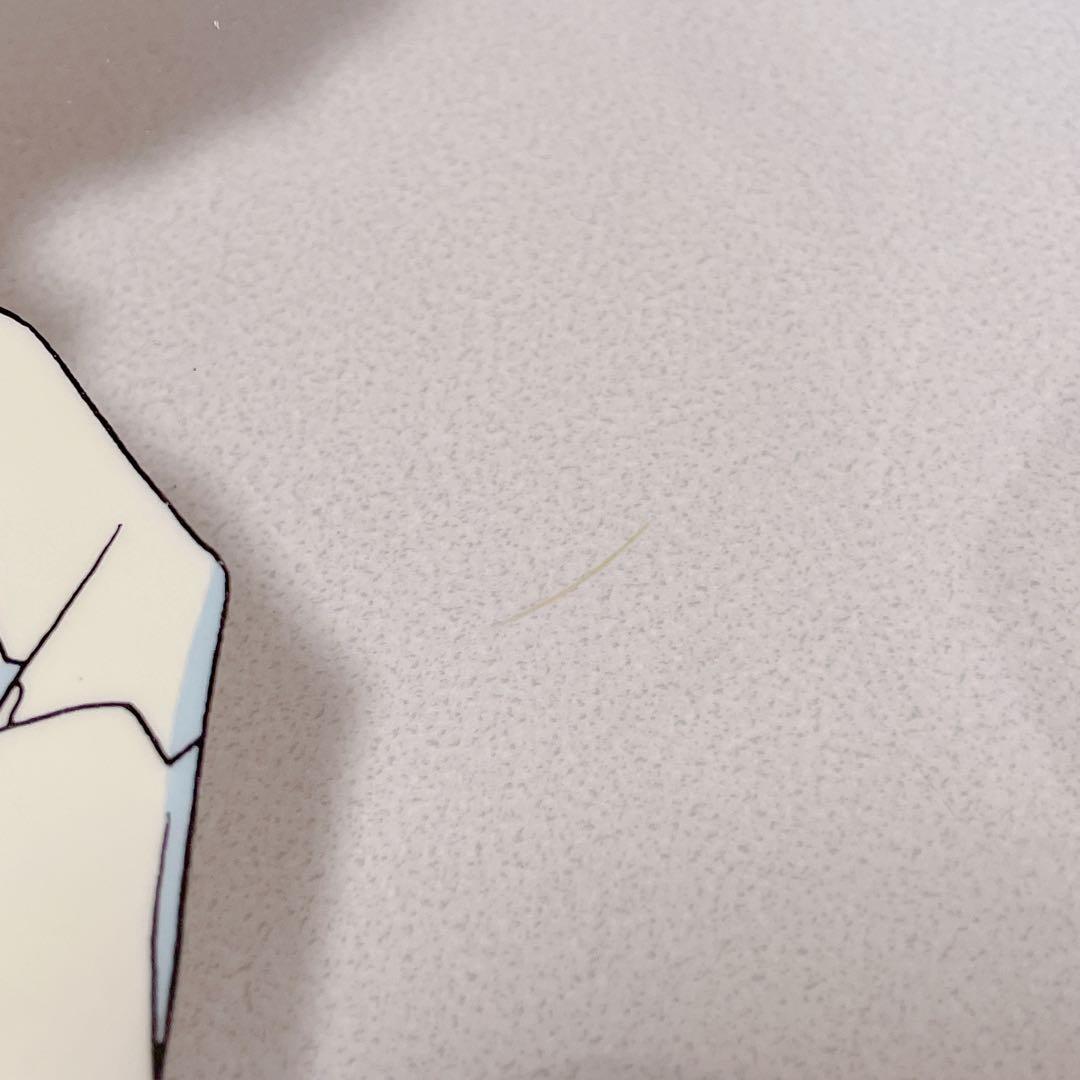 エヴァンゲリオン プリント倶楽部 限定 レトロ 手描き セル画 渚カヲル