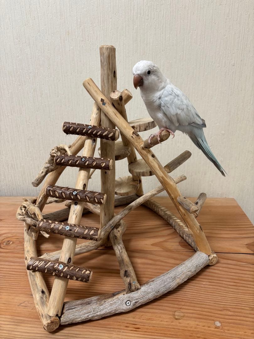 鳥インコ止まり木 流木吊り下げ式バードアスレチックバードジムバードトイパーチ