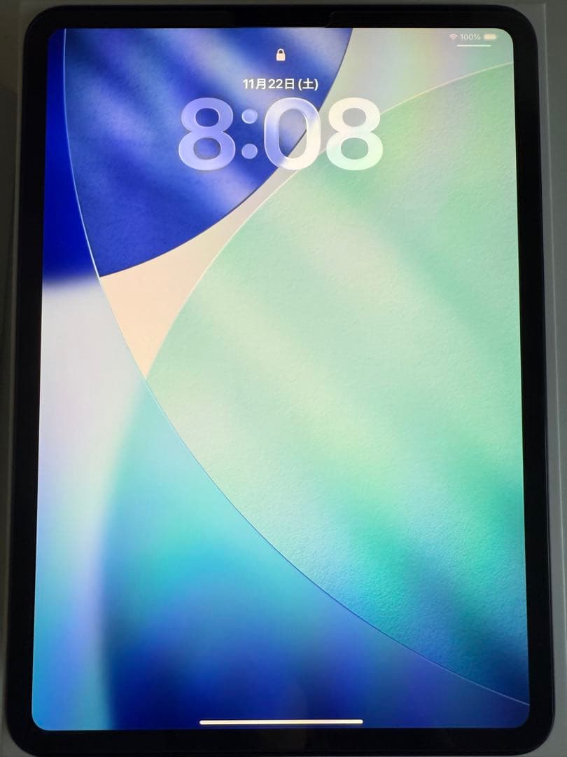 iPad Pro 11インチ M5 最新 クリアケース付き