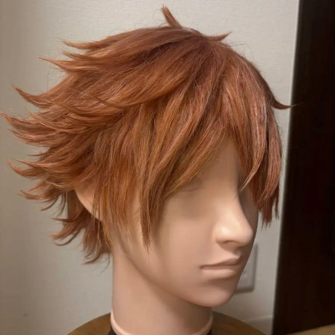 【セット済】エース・トラッポラ コスプレ ウィッグ