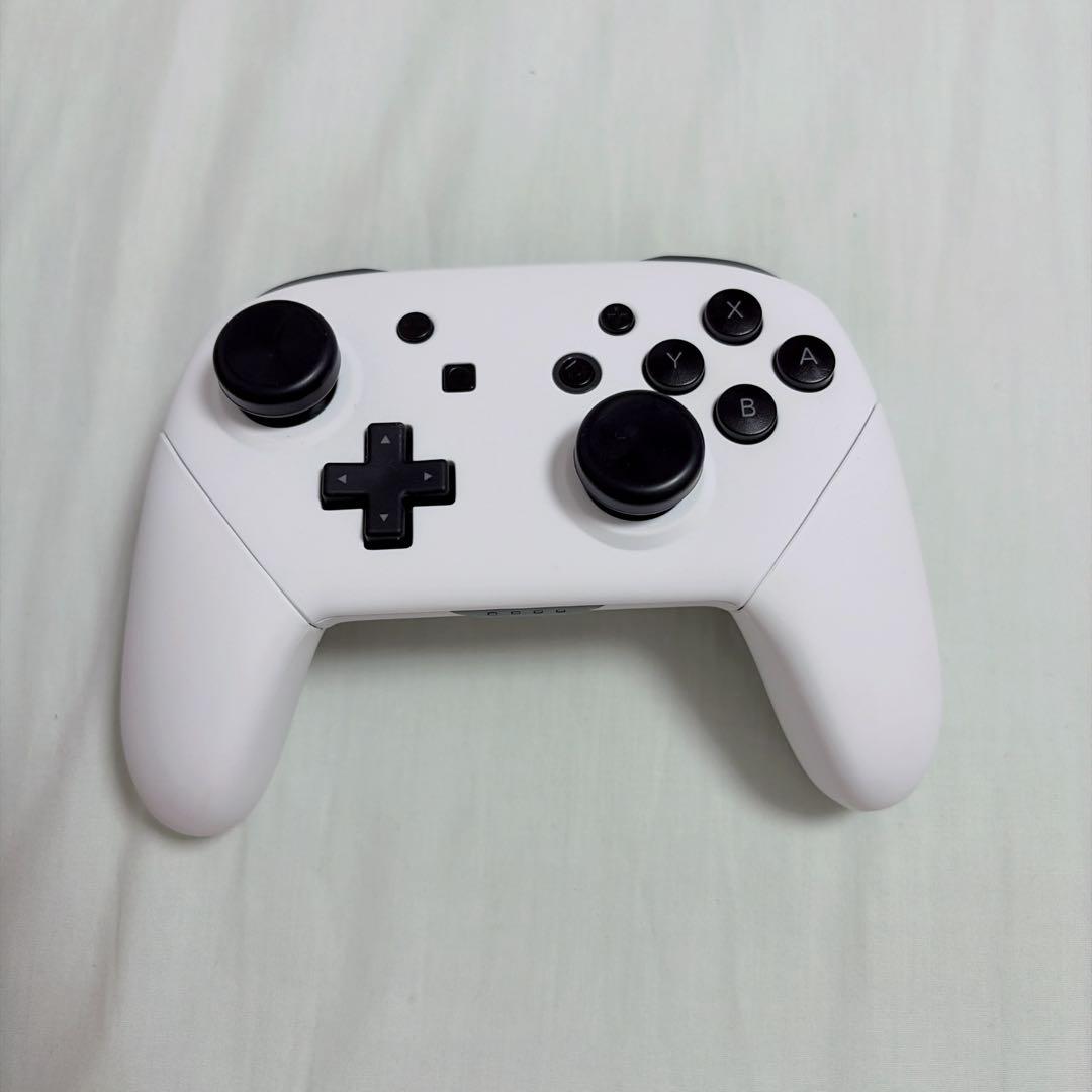 Nintendo Switch グレー 本体 + プロコン（白）