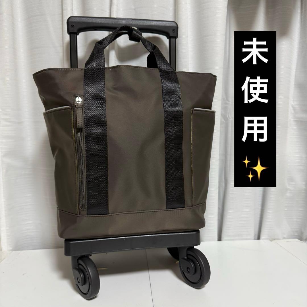 ⭐️未使用⭐️SWANY キャリーバッグ ナイロンキャリーケース　D-580