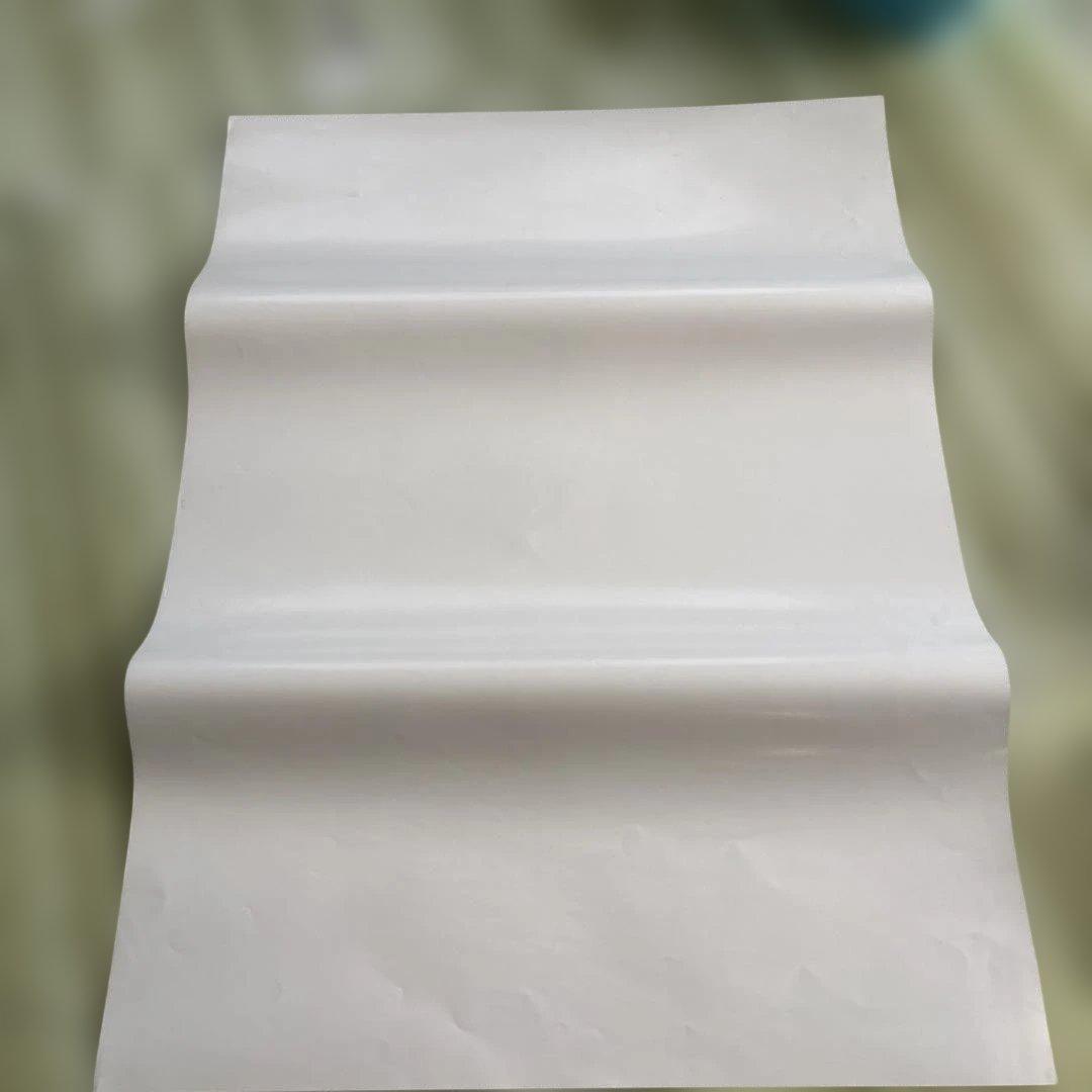 怒首領蜂 大往生 プレイステーション2 ポスター(2-8)1枚