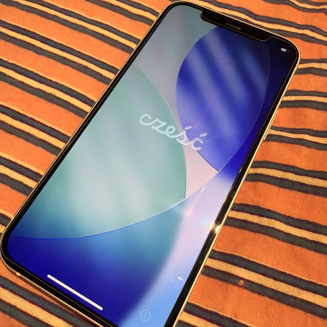 Apple iPhone 12 本体 256GB