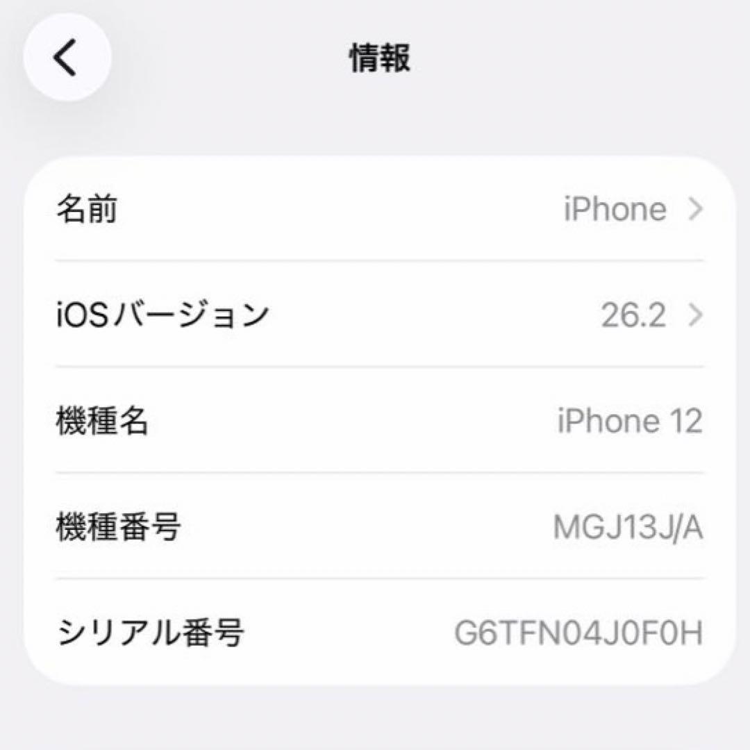 Apple iPhone 12 本体 256GB