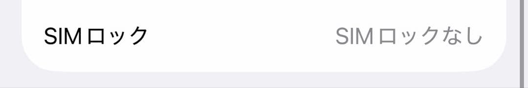 Apple iPhone 12 本体 256GB