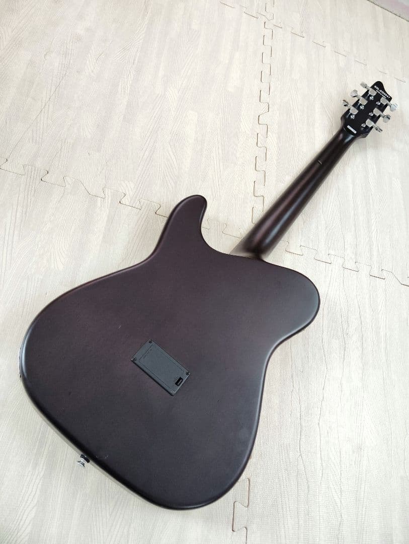 シェクター エレアコ OL-FL ナチュラル テレキャスタイプ SCHECTER