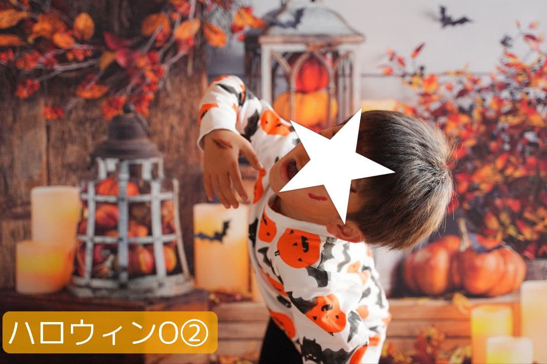 背景布ハロウィンK②　ペット、パーティー撮影用フェルトトリミングチョーカー販売中