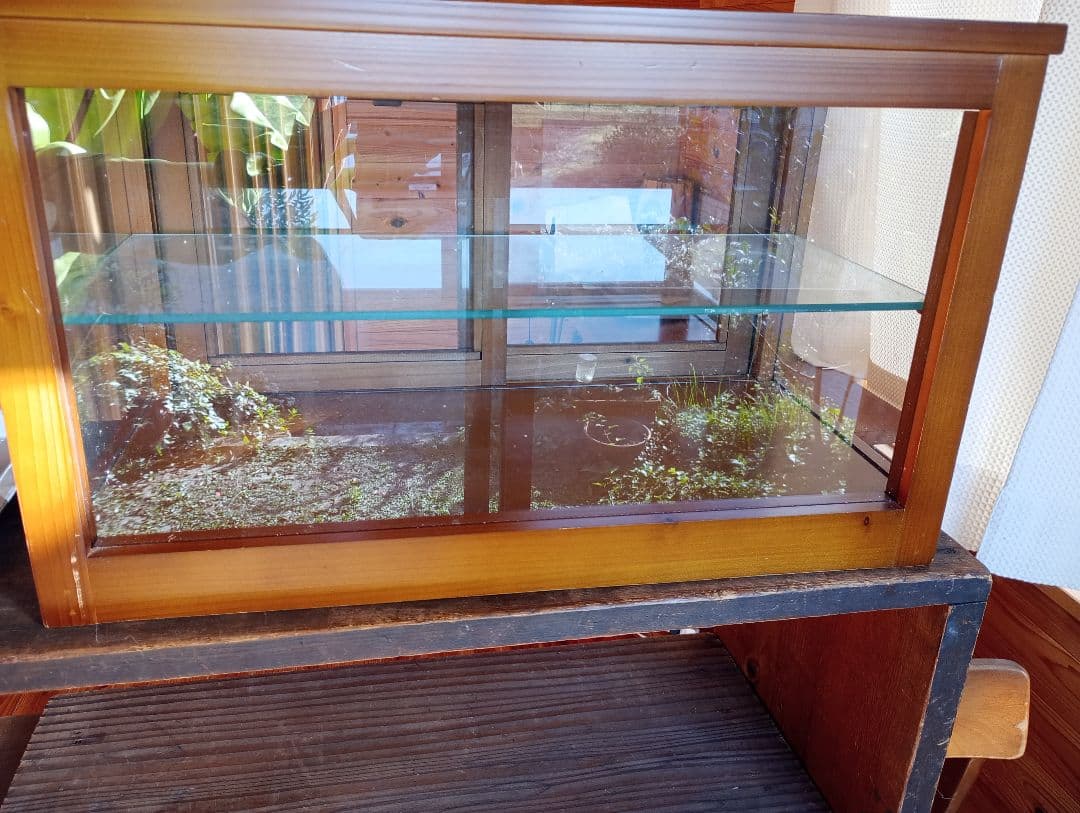 木製ガラスディスプレイケース 2段