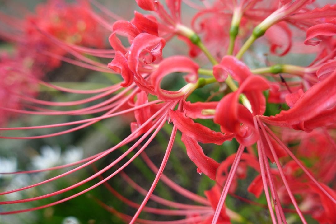 SONY RX100M3 実働品