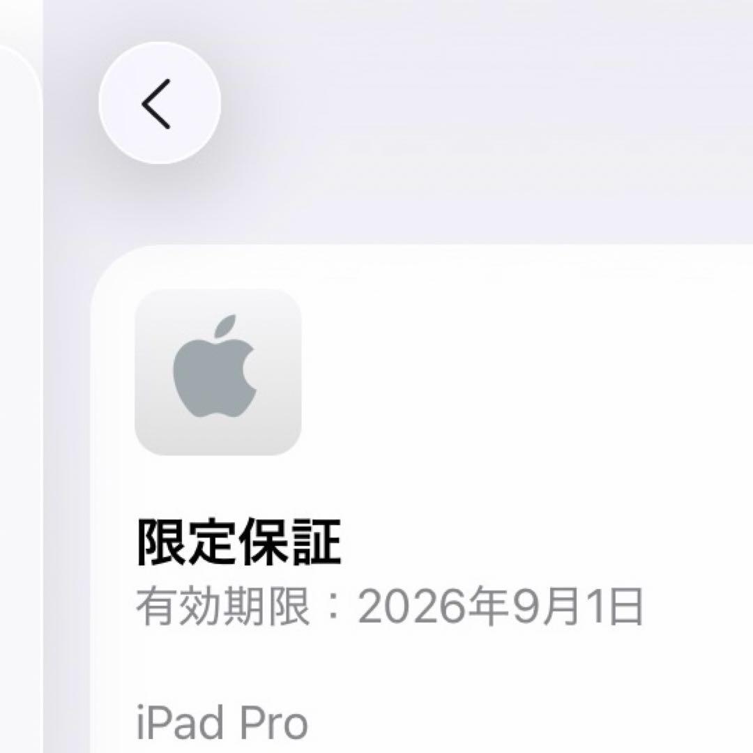 【新品同様】iPad Pro （M4） 11インチ 256GB スペースブラック