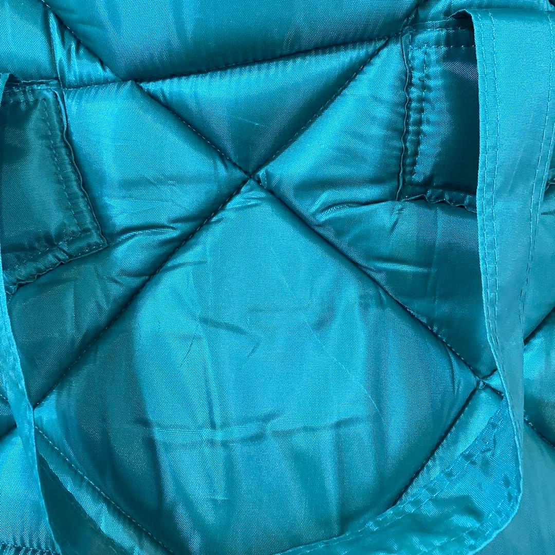 青山　サウルハープ　25弦　布製ケース　リュックタイプ