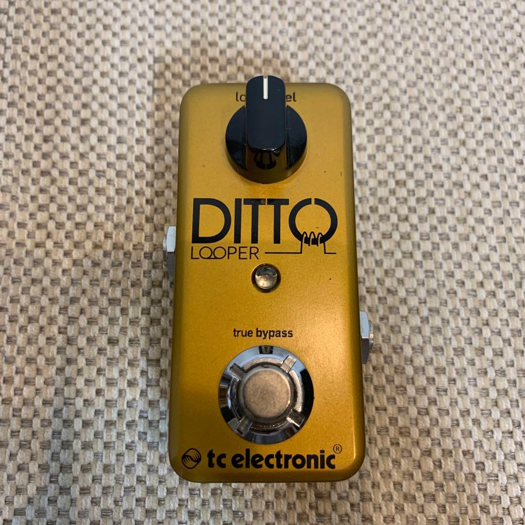 tc electronic / DITTO LOOPER 限定ゴールド