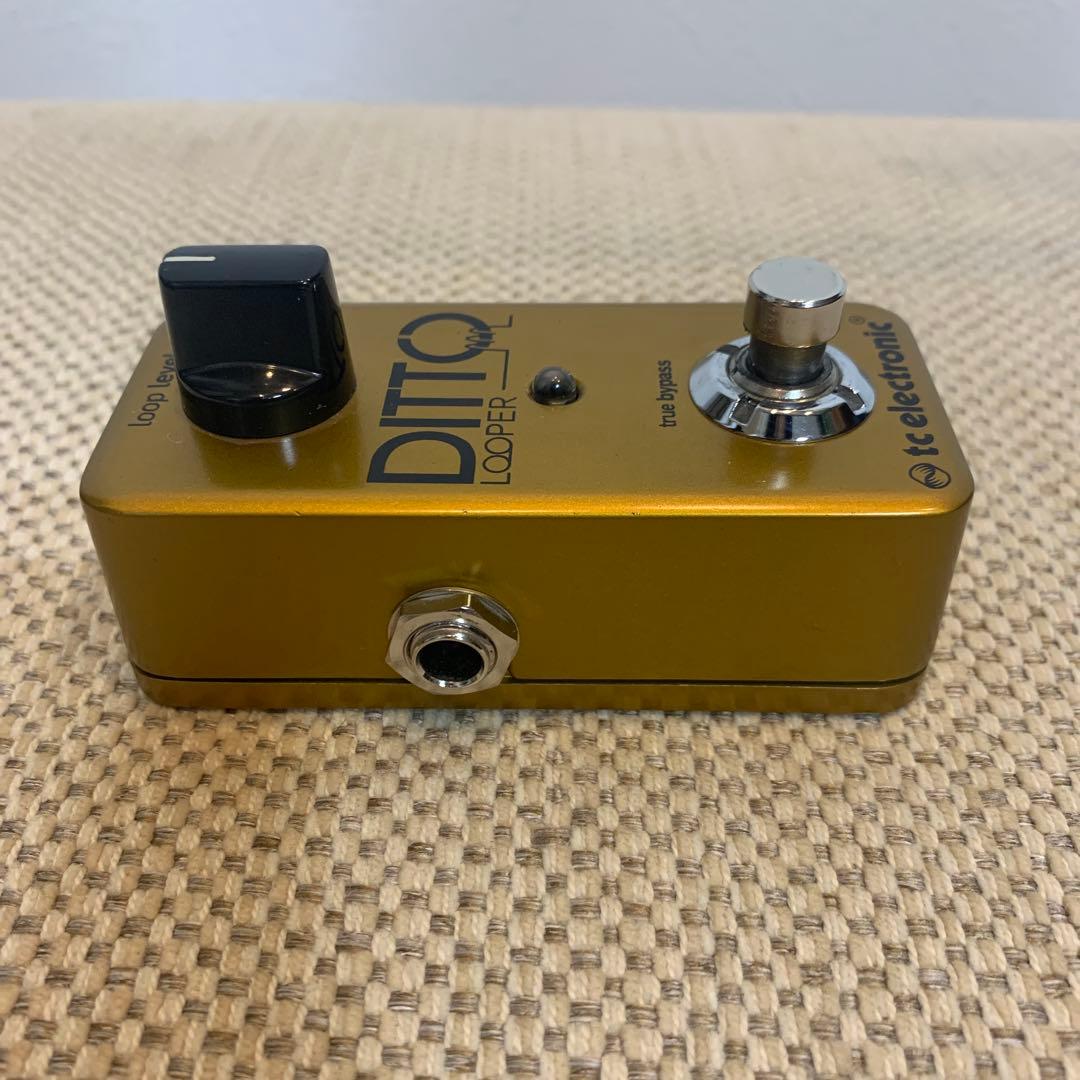tc electronic / DITTO LOOPER 限定ゴールド