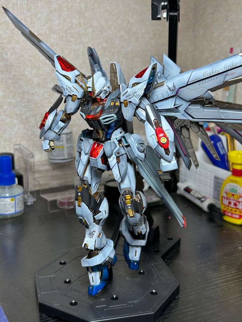 依頼品 MGEX ストライクフリーダム (海外製キット使用) 全塗装完成品