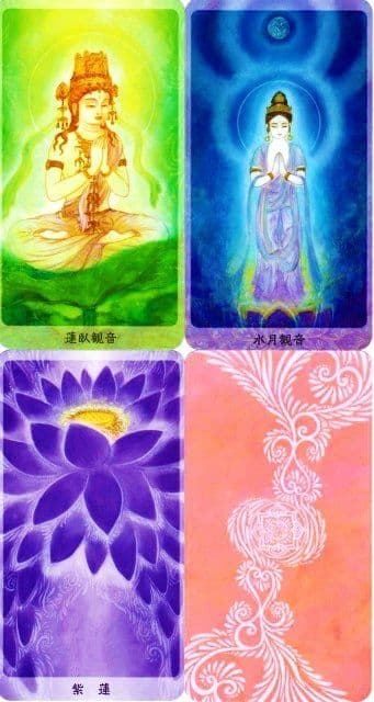 新品未開封 観音カード 金姫