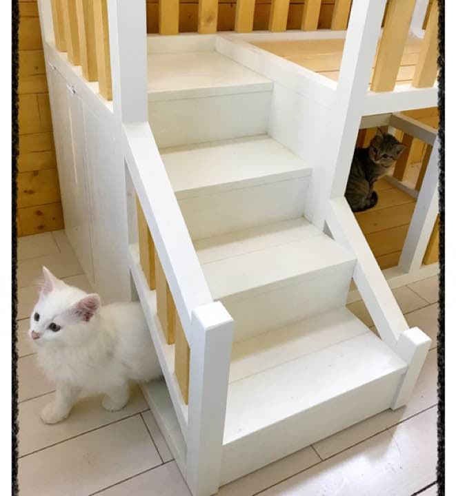 ハンドメイド 猫ちゃん ワンチャン ペット用 2段ベッド♫ 収納スペース付き