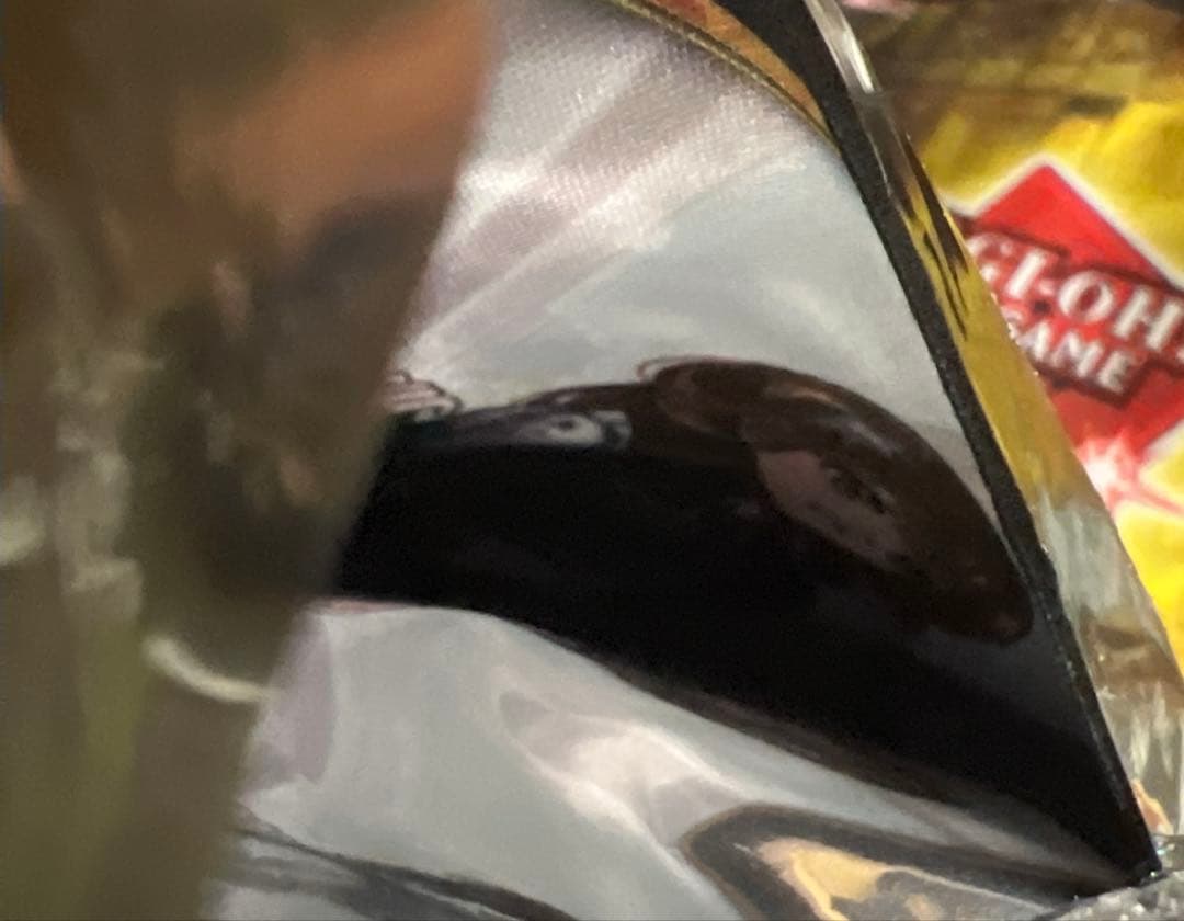 【遊戯王カード】エクソシスター プレイマット&デッキケース【2点セット！】