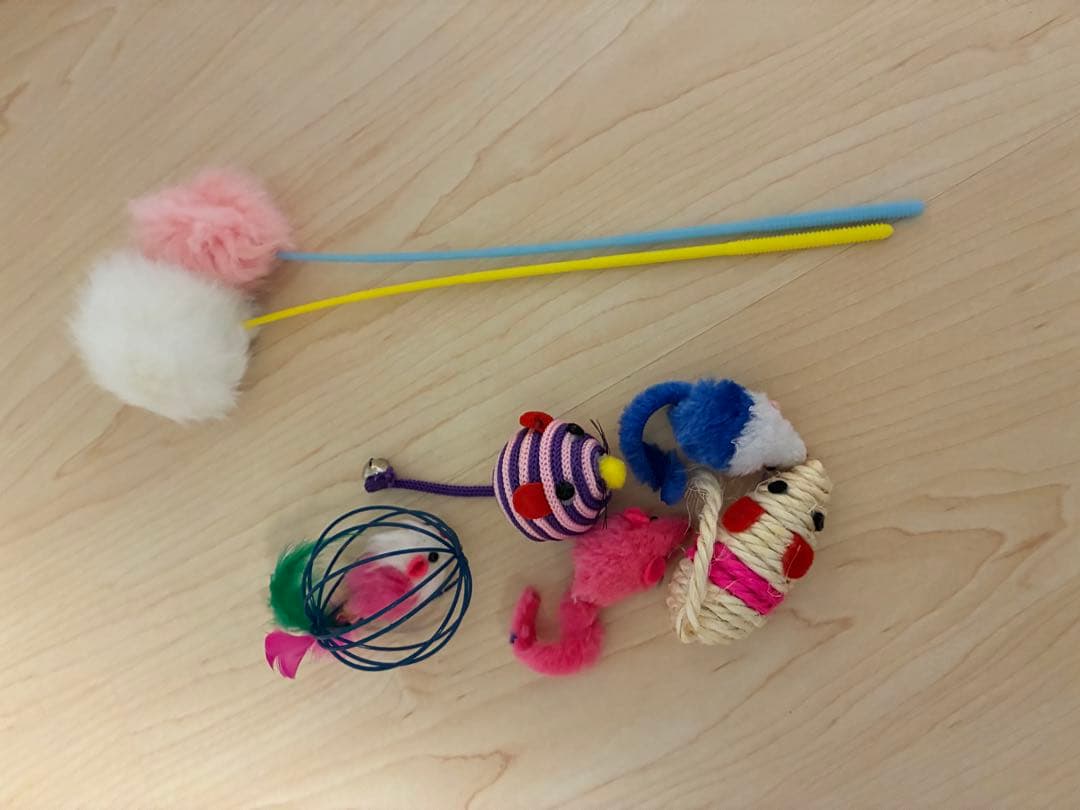 モモンガ　ゲージ　小動物　フクロウモモンガ