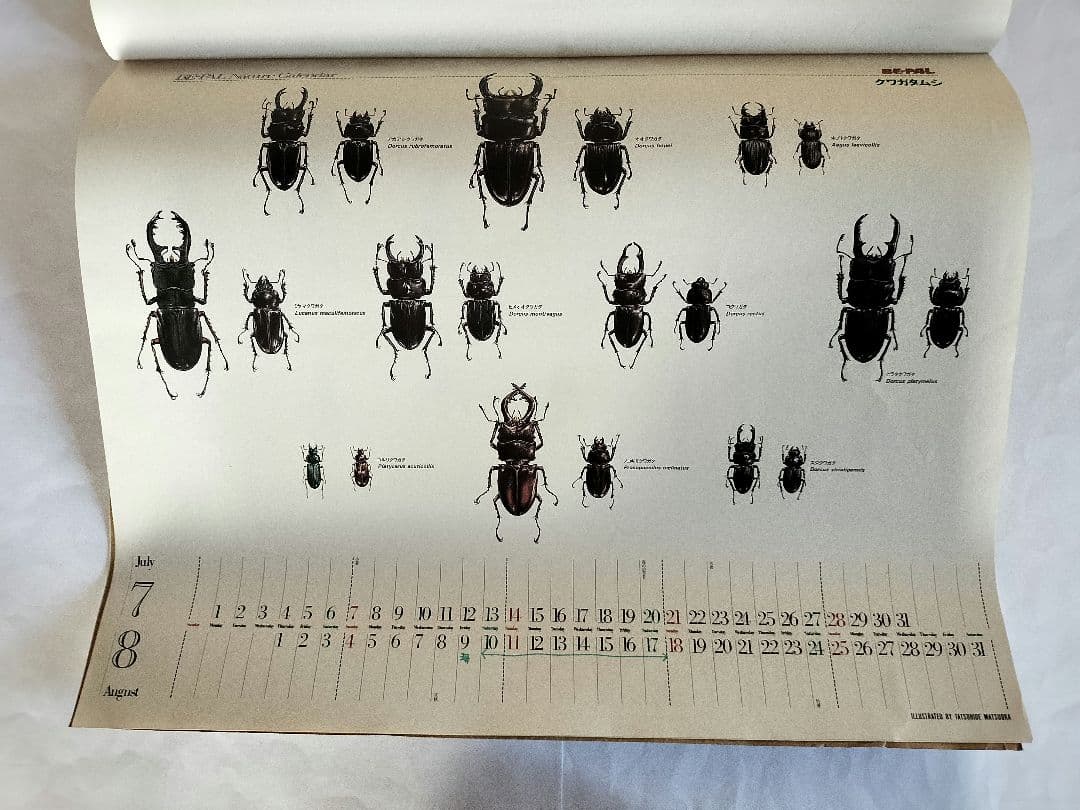 BE-PAL ビーパル カレンダー 新品未使用 1991年動物編　ヴィンテージ
