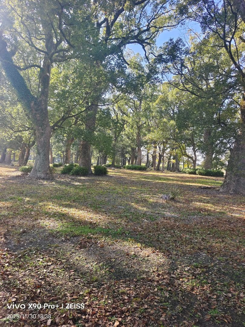 vivo x90 pro +訳あり