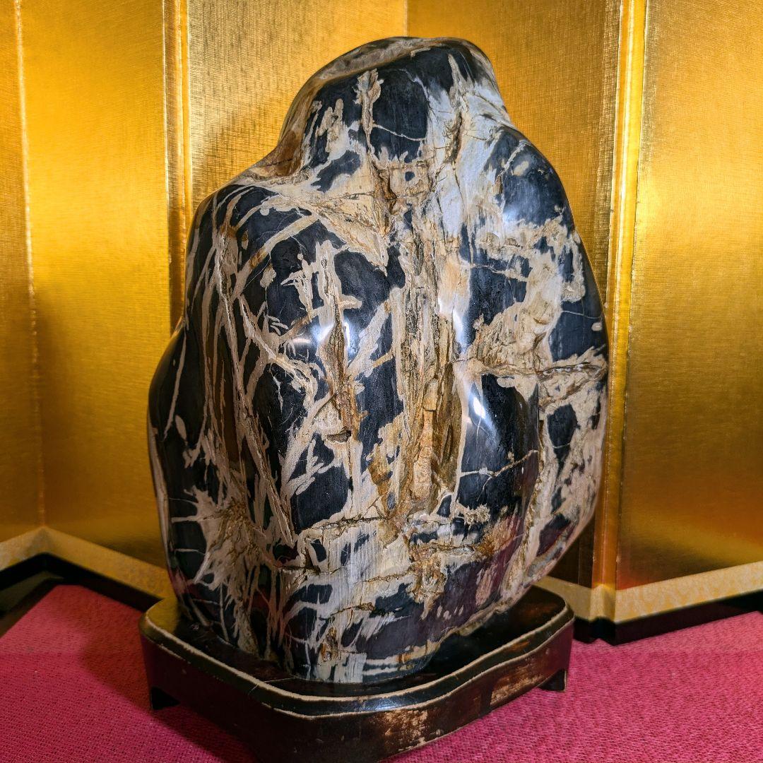 珪化木 9.8㌔ 鑑賞石 観賞石 水石 盆石 天然石 置物