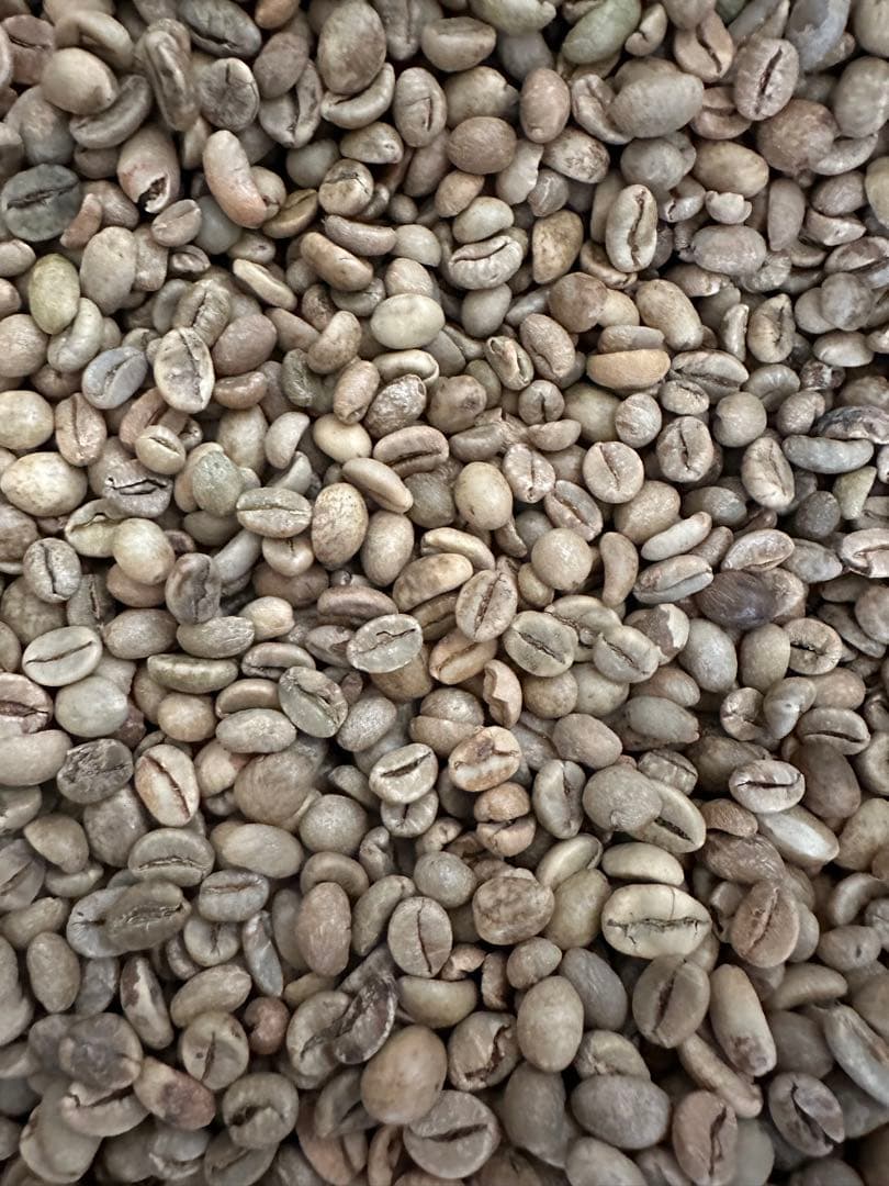 爆安!!【コーヒー生豆】ベトナム/ハニープロセス/ロブスタ15kg ※送料無料