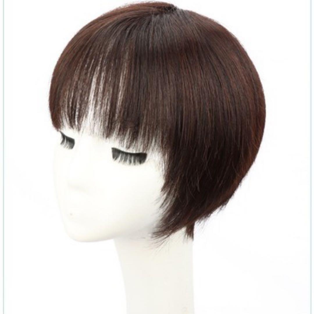 ウィッグ 人毛100% 簡単 イメチェン アレンジOK ショートヘア ブラック