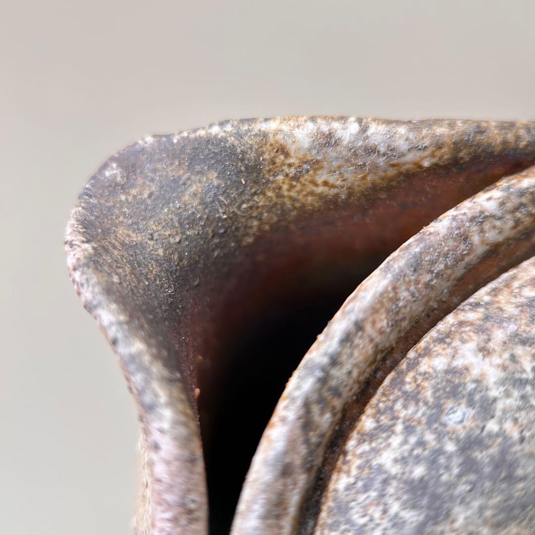 B柴岡信義 備前市無形文化財 備前焼 窯変 共箱 共布 栞 面取 宝瓶 茶器