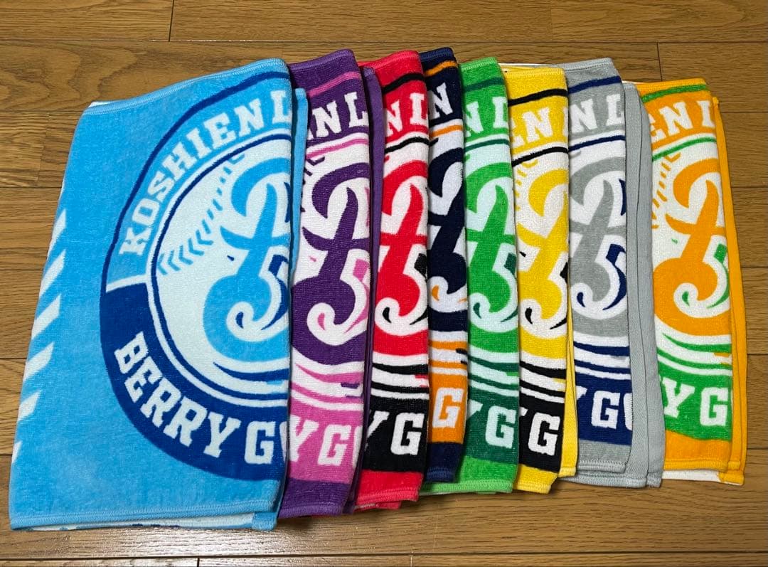 BERRY GOODMAN ベリーグッドマン　ツアーグッズ　タオル甲子園　17枚