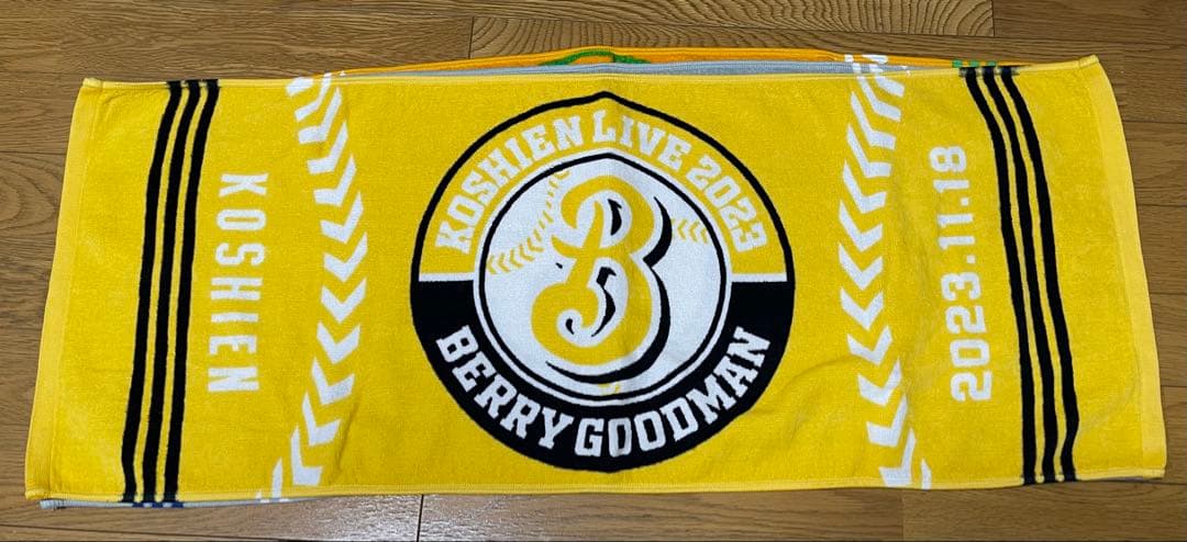 BERRY GOODMAN ベリーグッドマン　ツアーグッズ　タオル甲子園　17枚