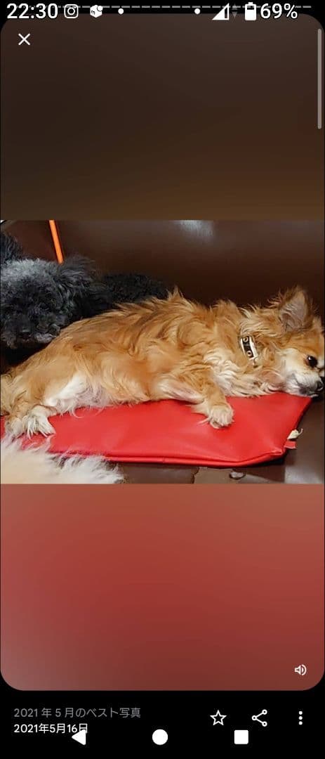 そらちゃんとくうちゃんの写真