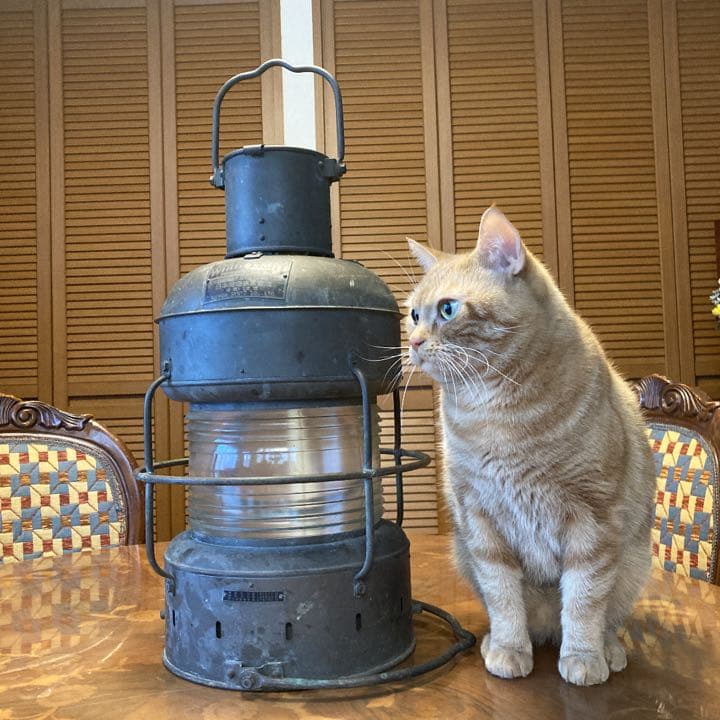 ★日本船燈ランプ 油式　☆ランプ無し