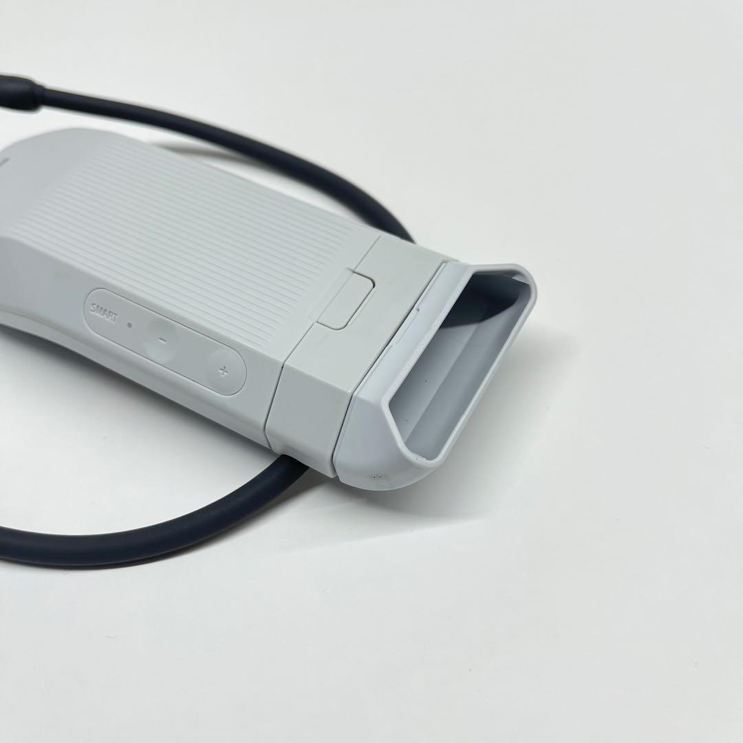 SONY ソニー レオンポケット プロ