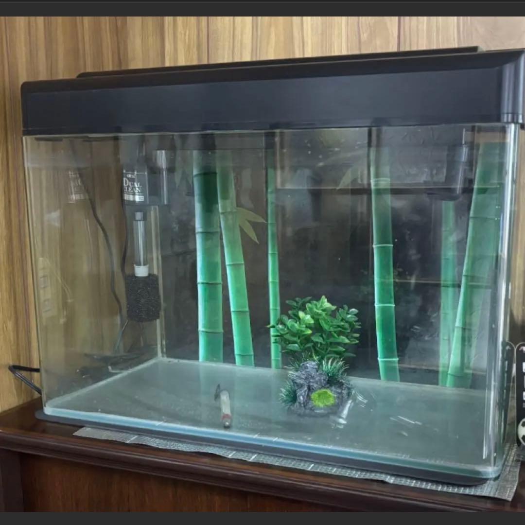 専用　⚫︎GEX ガラス水槽 セット　フィルター バラ売り可
