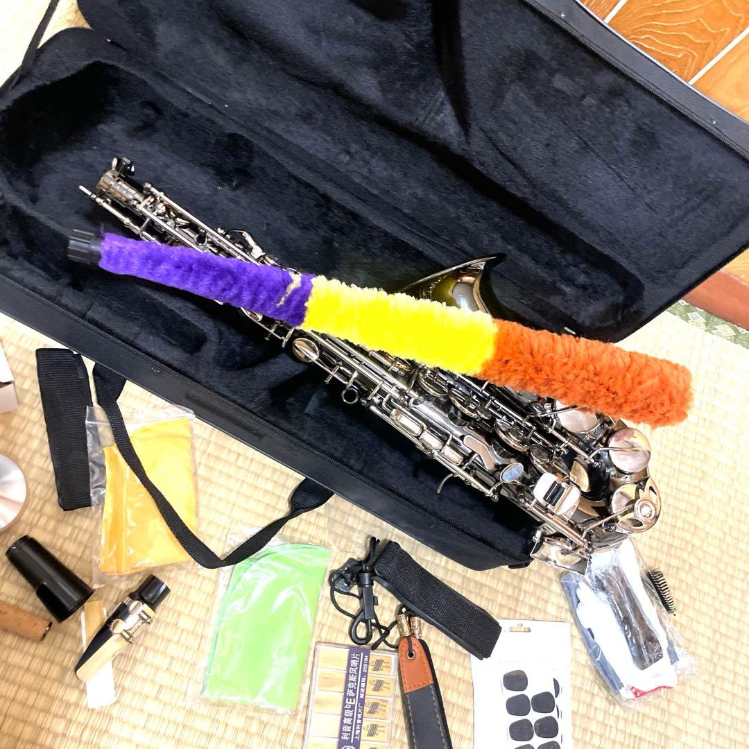 SHUNTIAN アルトサックス　楽器　ケース　マウスピース