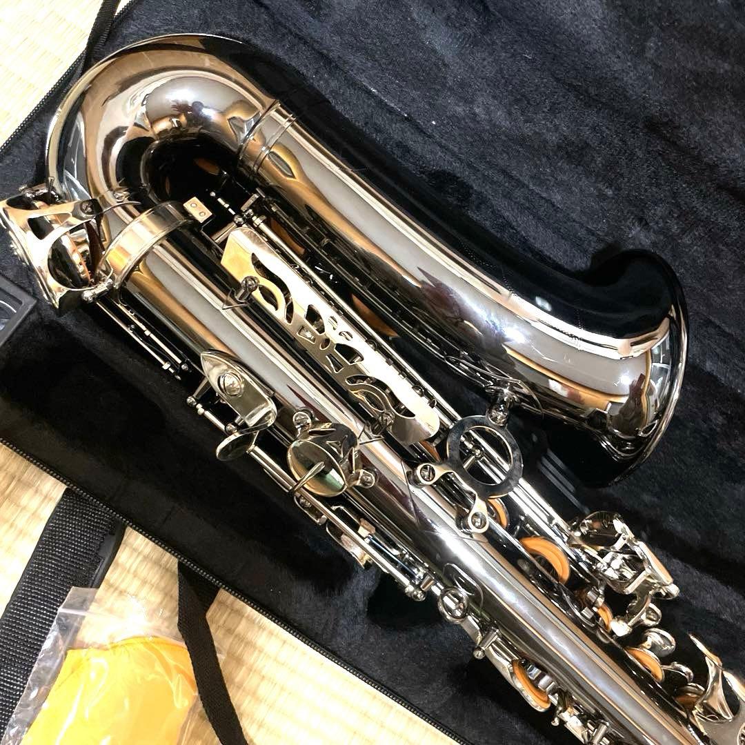 SHUNTIAN アルトサックス　楽器　ケース　マウスピース