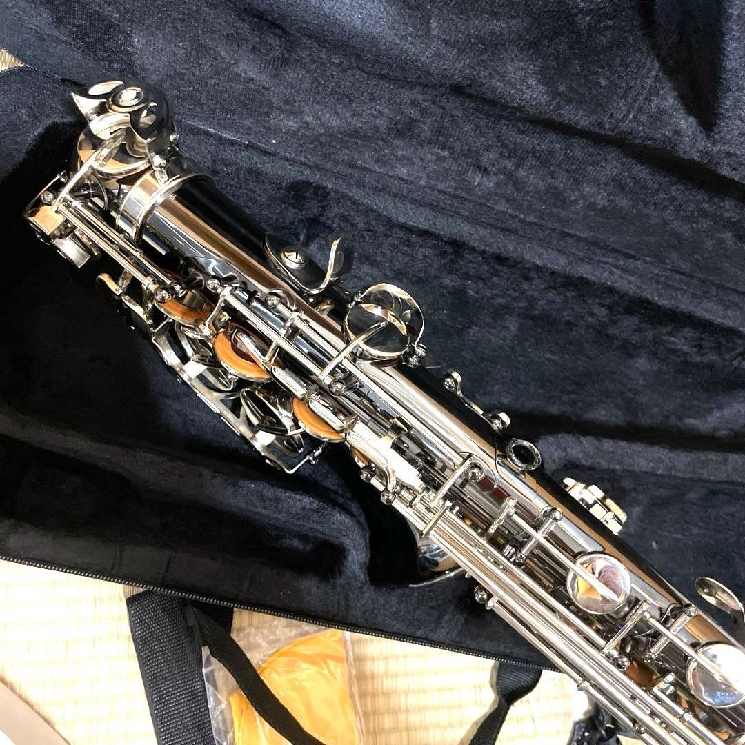 SHUNTIAN アルトサックス　楽器　ケース　マウスピース