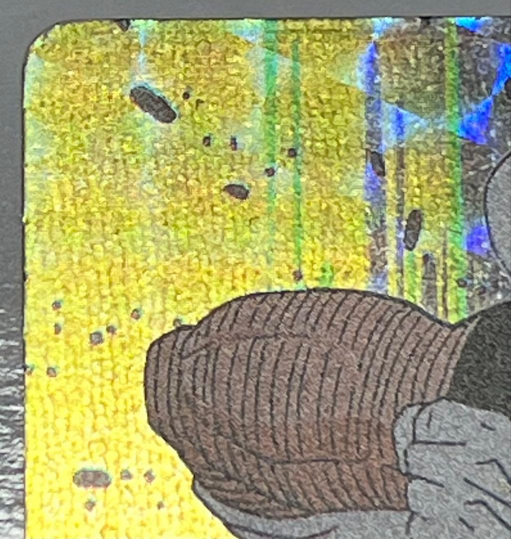 ドラゴンボールＺ　カード　日清ヨーク