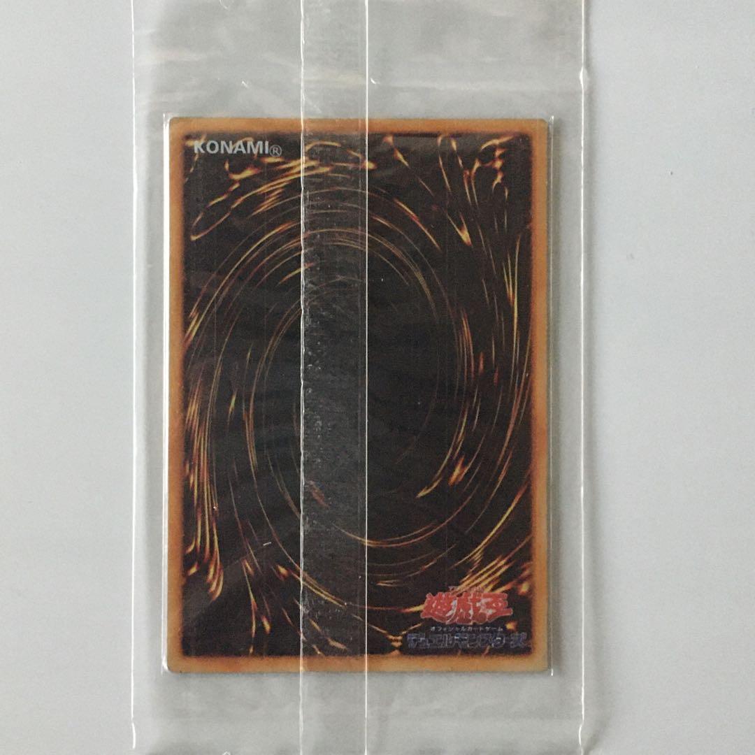 デビルズ・ミラー ステンレス 観賞用