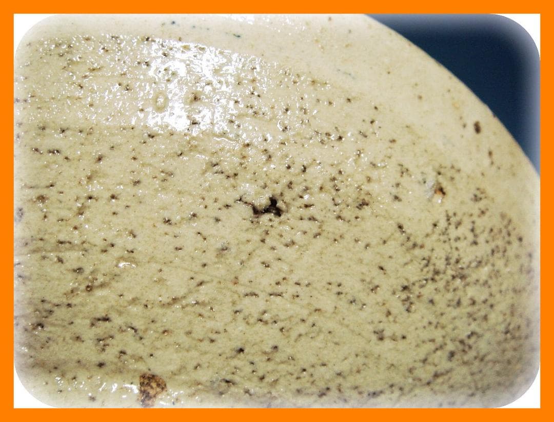 821『烏帽子を被った兎 皿』鳥獣戯画　/骨董品 古美術 古玩 アンティーク