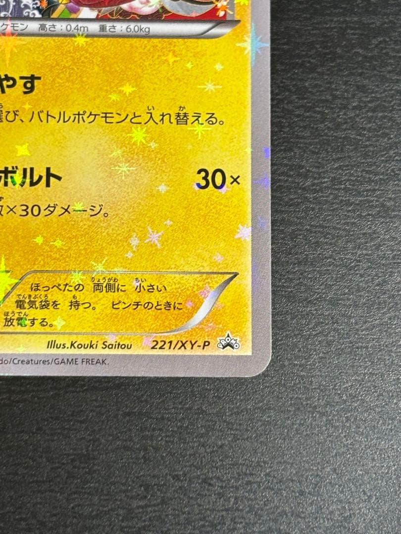 お公家さまと舞妓はんピカチュウ