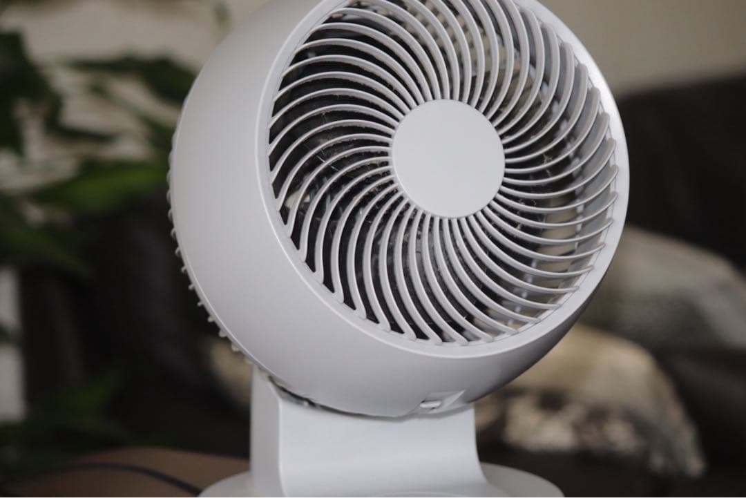 CANON EF-S 55-250mm ズームレンズ　撮影画像有り