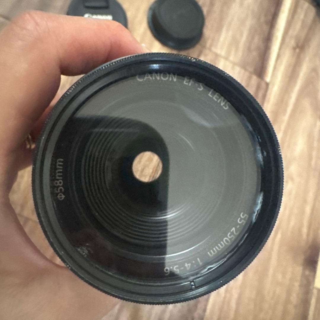 CANON EF-S 55-250mm ズームレンズ　撮影画像有り