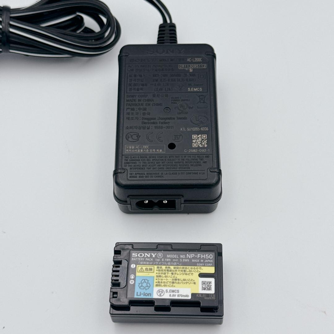 【ほぼ未使用】SONY Handycam DCR-SR87 80GB HDD