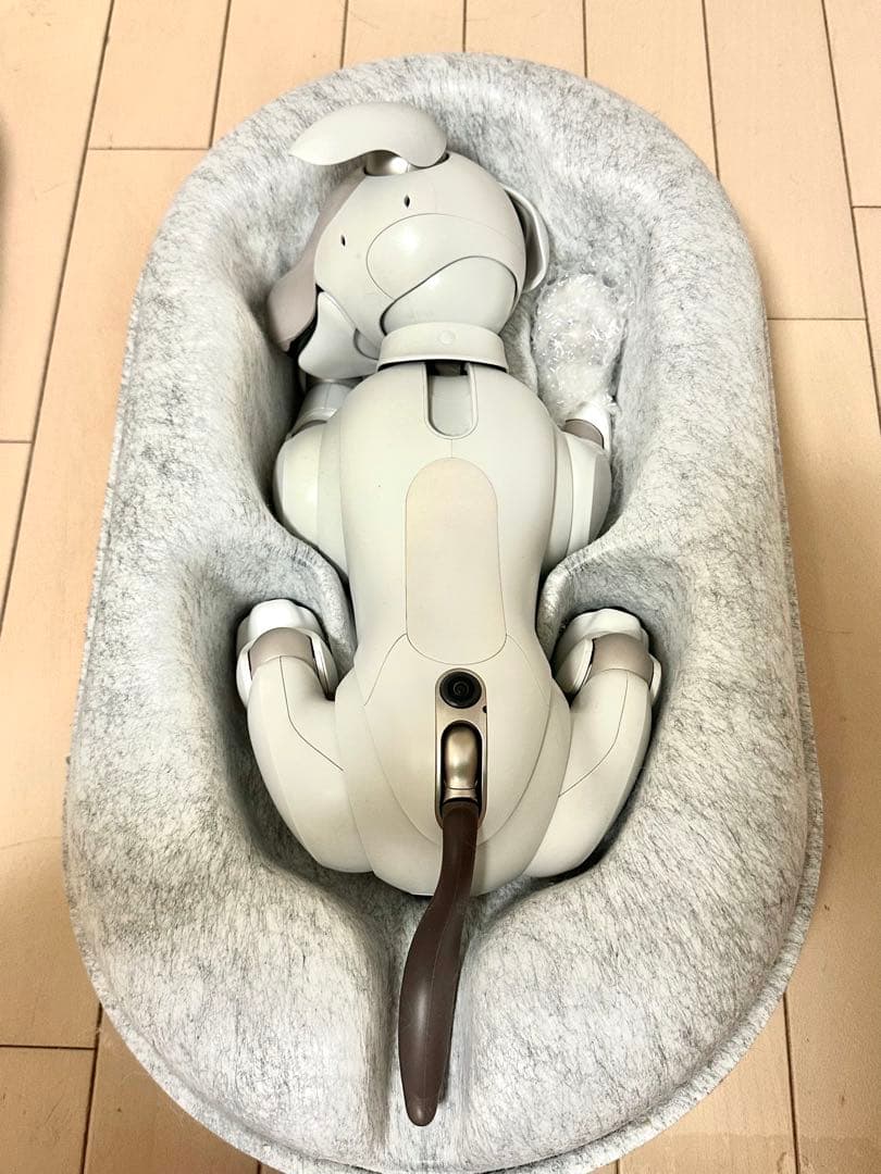 aibo & アクセサリー