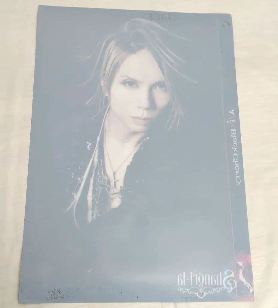 アシッドブラックチェリー　2014 アリーナ　シャングリラ　特大ポスター