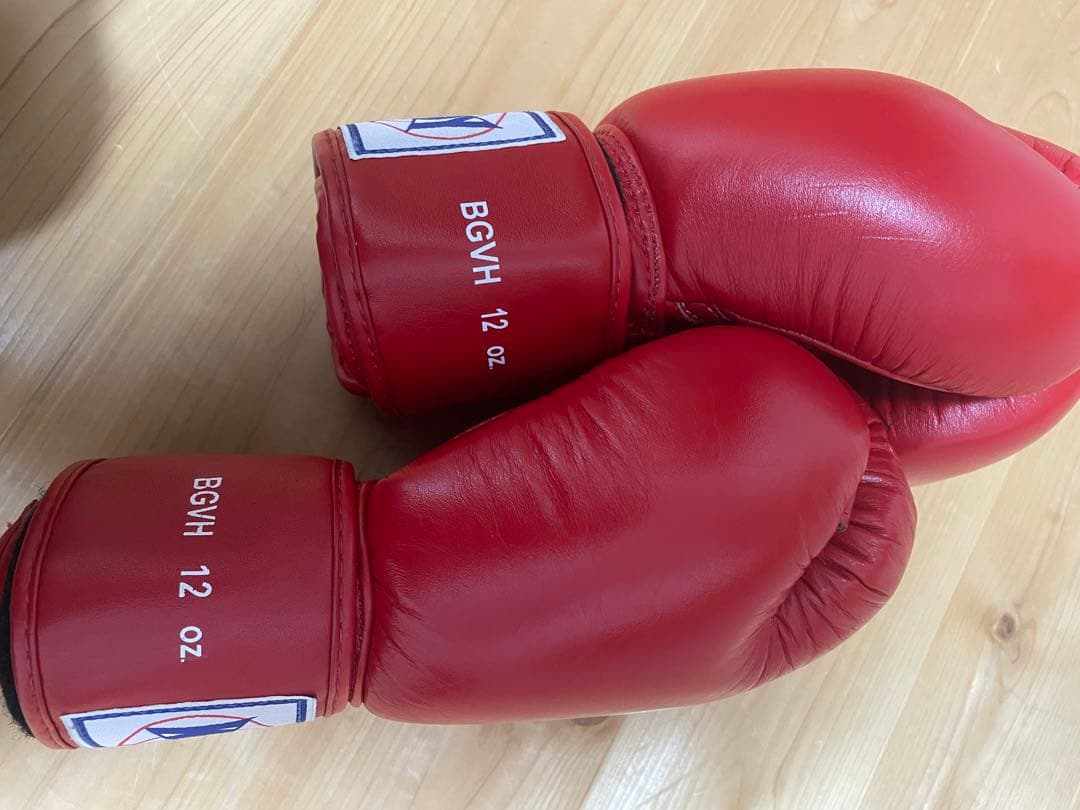 WINDY ボクシンググローブ 赤