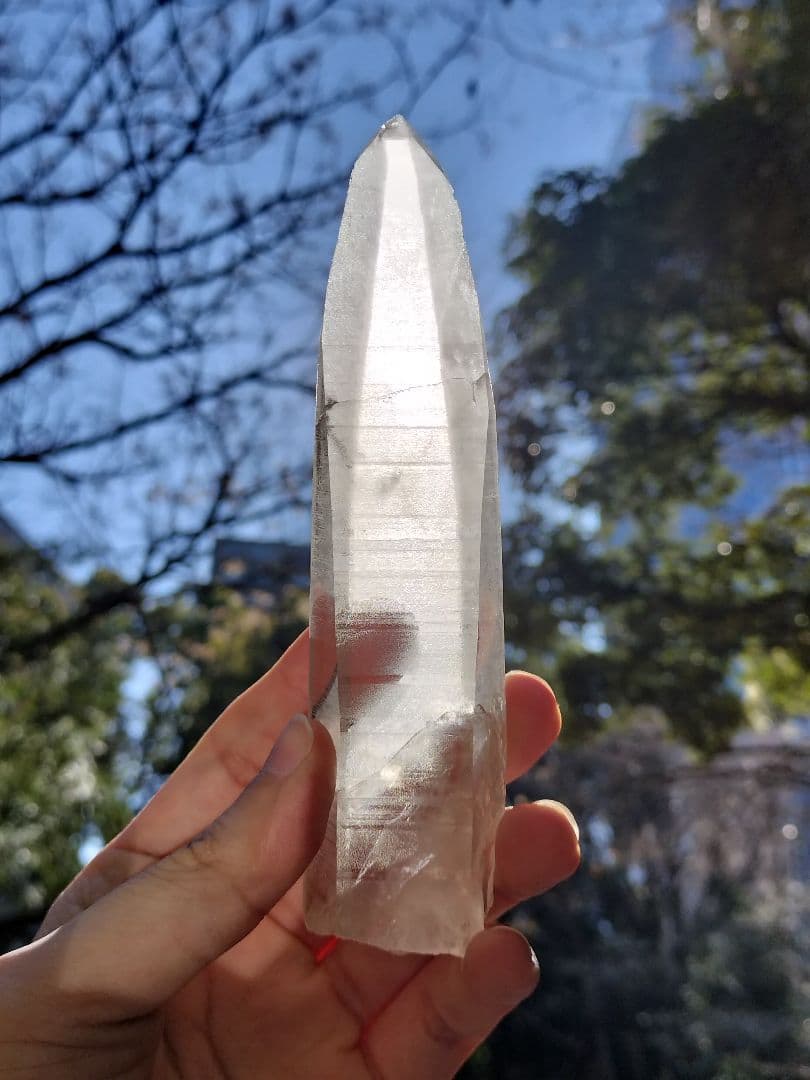 【超特価】オールドレムリアン　ピュアレイ