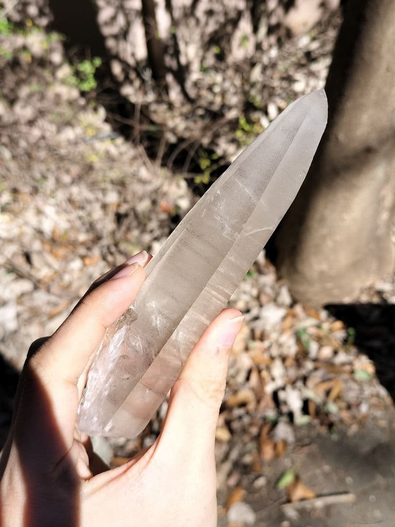 【超特価】オールドレムリアン　ピュアレイ